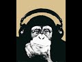 The Dö - On My Shoulders (Baskerville Remix)