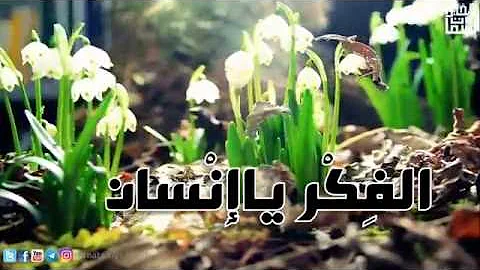 الفكر ياانسان لو أطلقته تصميم Mp3