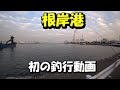 【第4話】根岸港　初釣行動画　2020年12月　神奈川県　サビキ釣りとルアー釣り　【2020-12-12】