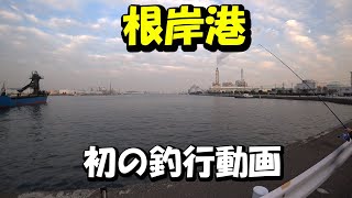 【第4話】根岸港　初釣行動画　2020年12月　神奈川県　サビキ釣りとルアー釣り　【2020-12-12】
