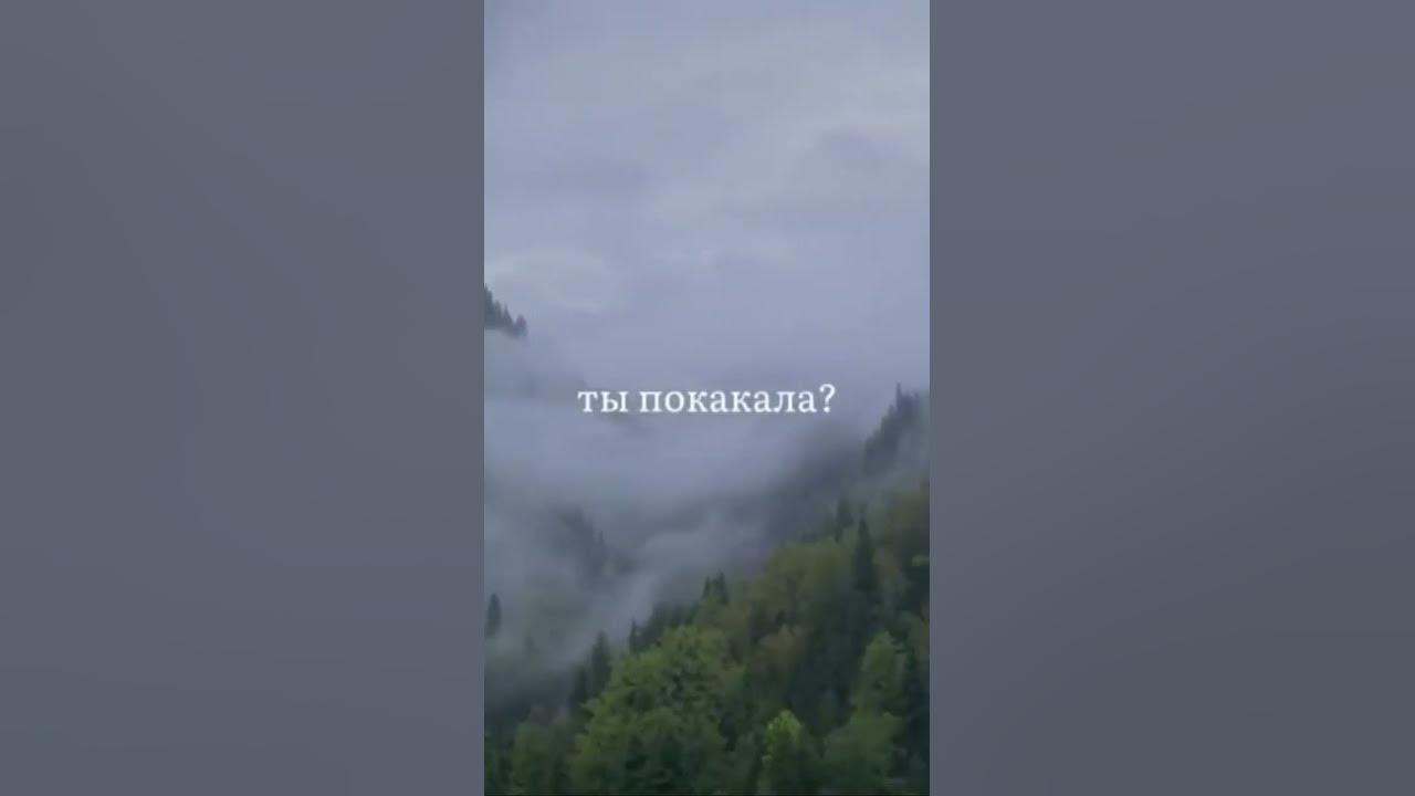 Ты покакала? Are you pooped? #shortvideo #shots - YouTube