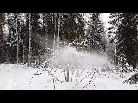 Что будет если выстрелить из #СКС по замороженной пятилитровой бутылке