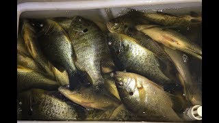 CA Delta Redear/Bluegill fishing