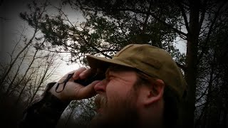A bit of tracking and stalking