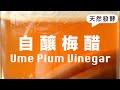 水果醋的極品【青梅醋】時間釀造美味魔法  How to make Ume Plum Vinegar