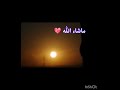 ماشاء الله تبارك الله 😍💗# Lynn
