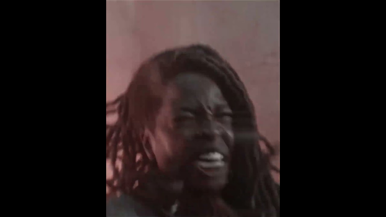 Michonne Vs Lee Everett 