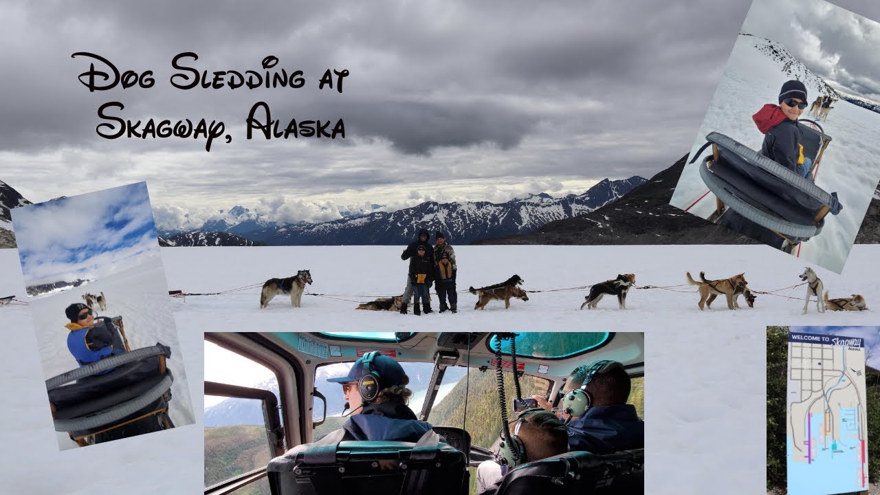 Dog Sledding on a Glacier in Skagway, Alaska! Dog Sledding and Glacier