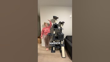 I Bought the BIGGEST Cat Tree!! 🐈
