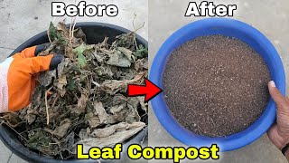 Quick method to make leaf compost, How to make compost [English CC]