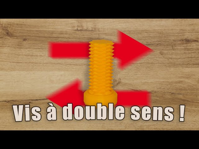 Impression 3d La Vis A Double Sens Youtube