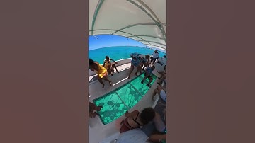 Terrifying Shark Attack Dents Glass Boat! | #AI, #shorts #sharks