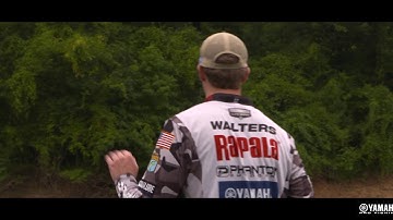 How I Got Started with Patrick Walters