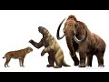 New research sheds light on Ice Age extinction