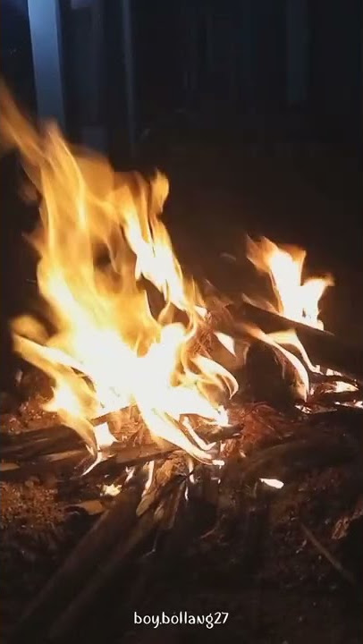 Fenomena story tiada yang lain