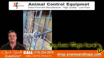 How to trap squirrels | Live Traps