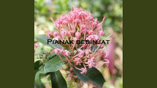 Pianak Bebinjat