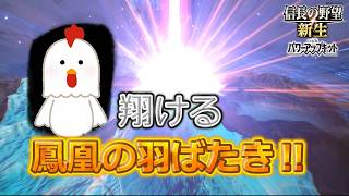 Nobunaga's Ambition: New PKCE  The Tokugawa Clan in Desperate Straits (The Gara Clan, Episode 10)