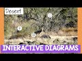 Interactive Learning with Diagrams