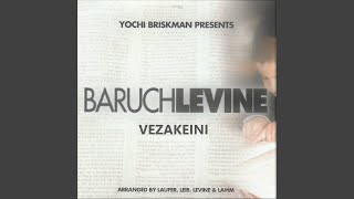 Video thumbnail of "Baruch Levine - Galei"