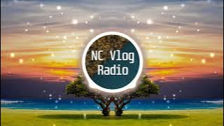 Ikson – Breeze (Tropical House Music No Copyright Happy Music)