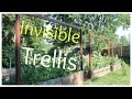 Invisible Trellis - A cheap raised bed trellis system