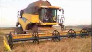 Moisson CR 9080 Riz 2013