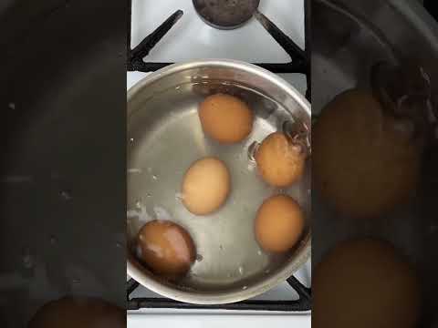 Как Правильно Сварить Яйца