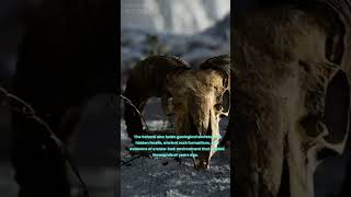 What Is X Series What Is The Secret Of The Sahara Desert?