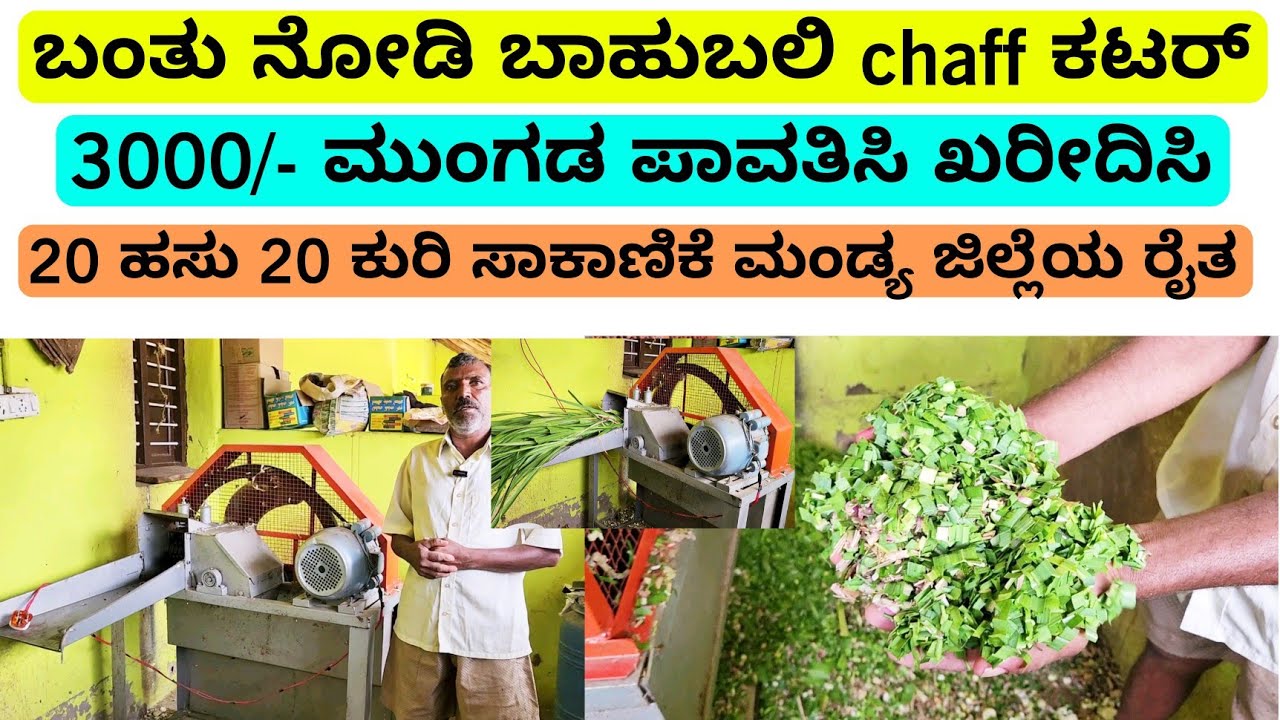 ಬಾಹುಬಲಿ chaff ಕಟರ್ ₹3000/- ಮುಂಗಡ ಪಾವತಿಸಿ ಖರೀದಿಸಿ | agricultural chaff cutter | ಮೇವು ಕತ್ತರಿಸುತ್ತೆ