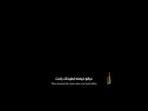 شفتك مطروح لرادود محمد بوجبارة