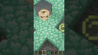 Voici comment activer le conduit sur Minecraft  #minecraft #gaming