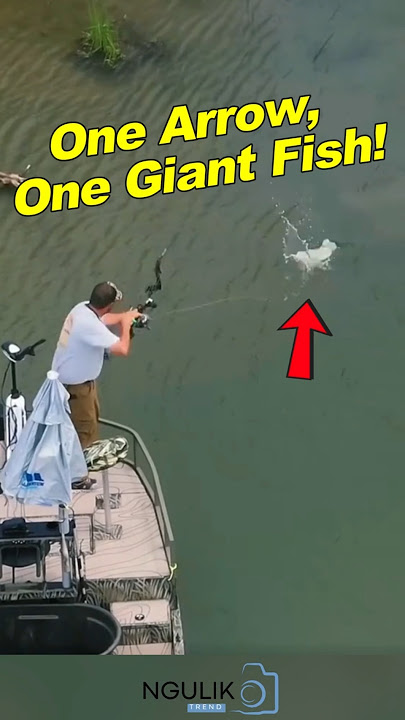 He Shoots… and Catches a Monster Fish! #shortsfeed #funny #fishing