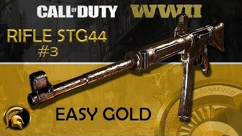 Call Of Duty WW2 - (GOLD Camo) #3 Rifle STG44 Easy Guide - Tips