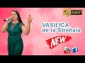 VASILICA DE LA STREHAIA LIVE 2022 - REVELION 2022 - CRISS EVENTS -CELE MAI FRUMOASE HORE SI SARBE