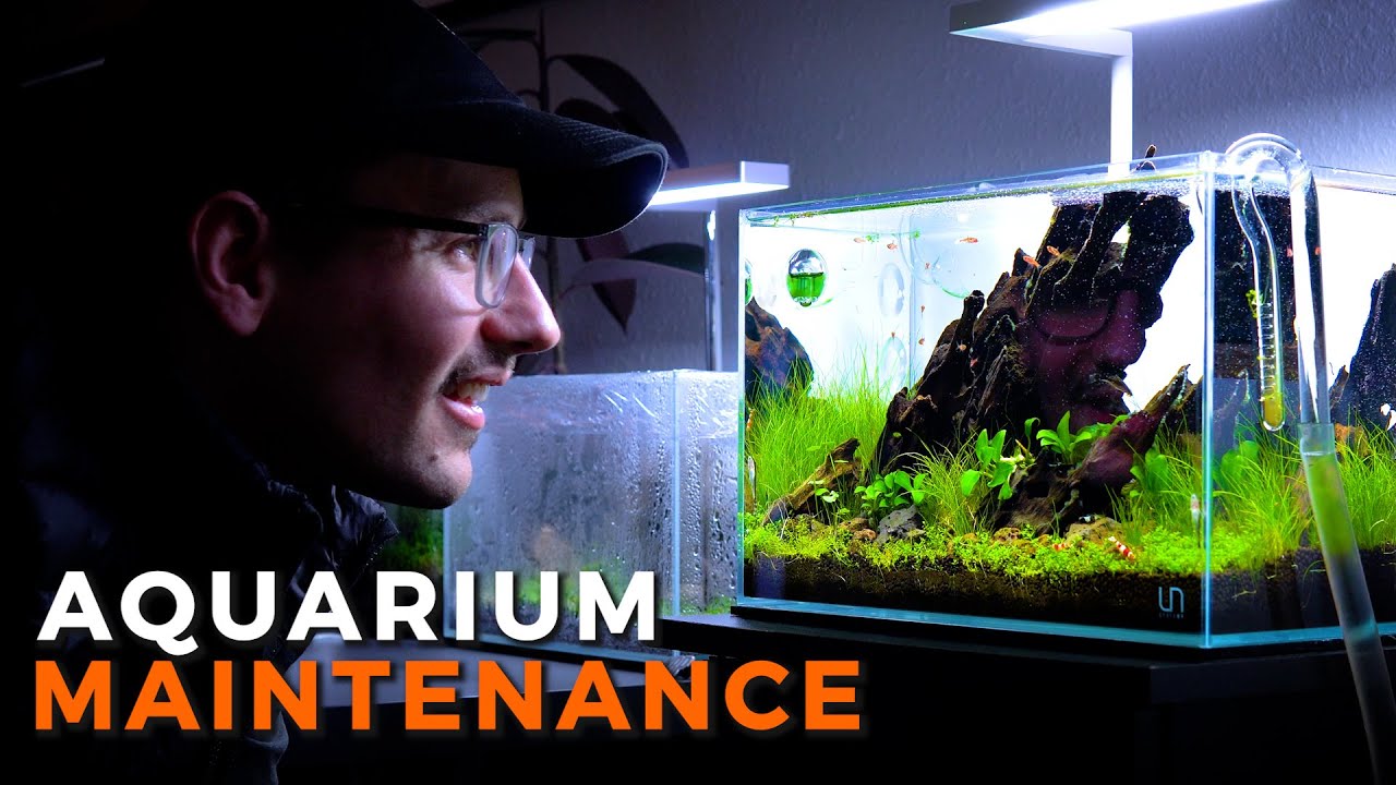 Aquarium Xpress, Install, Design, Maintenance