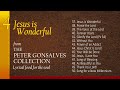 THE P.G. COLLECTION - 4. Jesus is Wonderful (The Album)