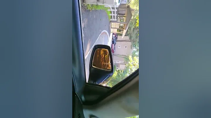 Darrell Hopkins car inspection videos(3)