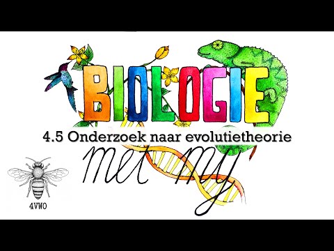 Video: Hoe ondersteunt het fossielenarchief de evolutietheorie?