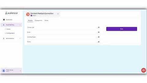 How to Enable Asset Types in the Asset Naming Assistant | Audienz + HubSpot Setup