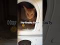 It S Just Who He Is Dailyvlog 