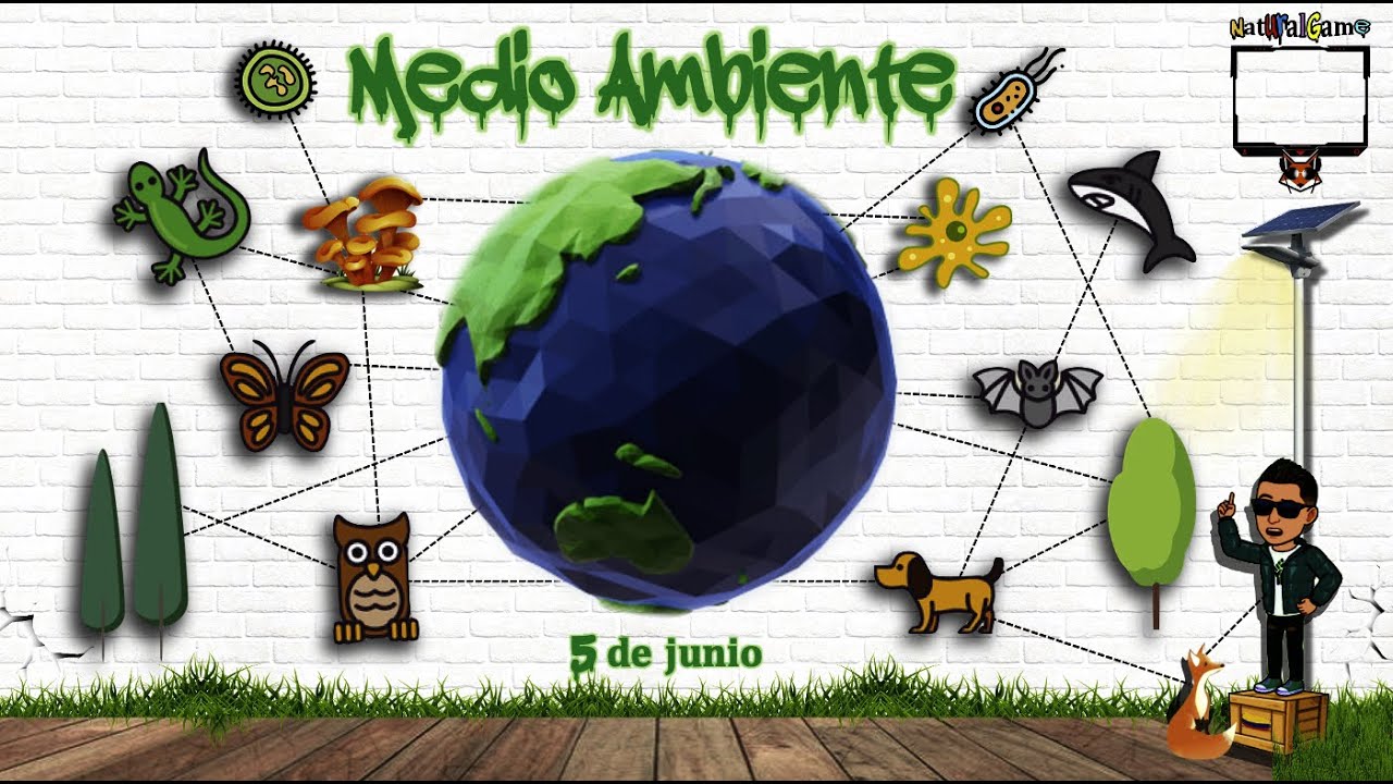 Medio Ambiente Sugerencias Para Conservarlo Youtube