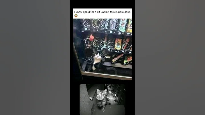 Wait a minute #memes #tfunny #usethisaudio #trending #shorts