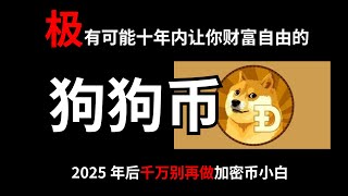 【财富自由】狗狗币 Dogecoin 极有可能让投资者10年内实现财富自由！ | 一个例子带你彻底了解加密币，告别加密币恐惧 | MoneyBeginner