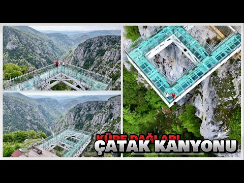 Kastamonu Küre dağları