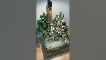 Ned Aqua xin giới thiệu về sản phẩm tiểu cảnh bán cạn, thuộc hệ sinh thái không cần chăm sóc