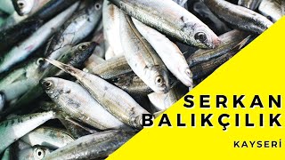 Serkan Balikçilik Eurostar Tv Anlat Bakalım Türkiye