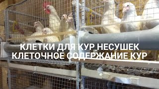 Пошаговая инструкция постройки клеток для кур