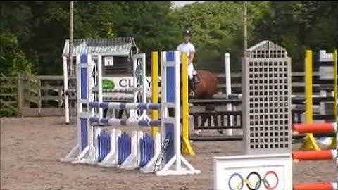 SOLD TO GERMANY - 2007 MARE - CAPRIOLE BY NUMERO UNO X QUICKSTAR