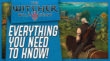 The Witcher 3 On Switch - EVERYTHING YOU NEED TO KNOW!